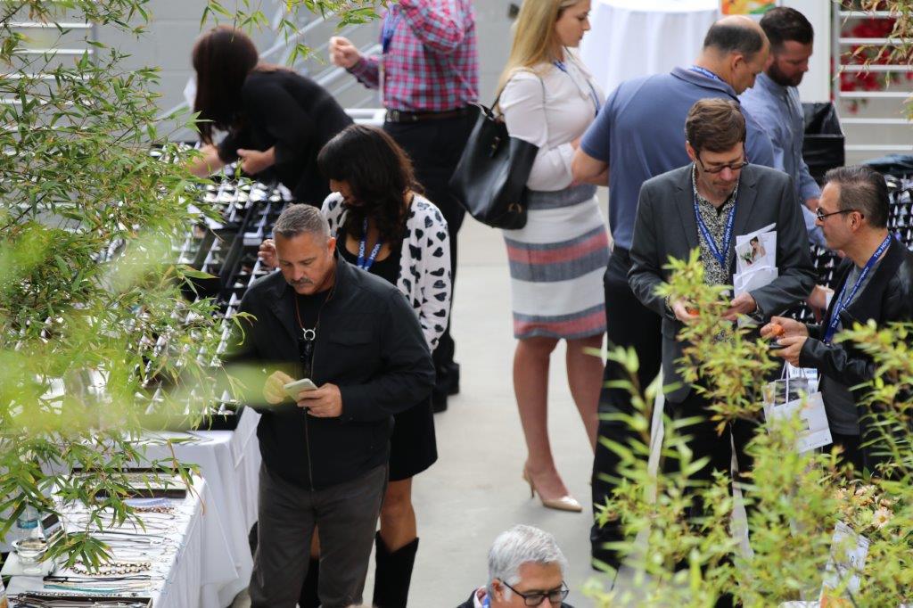 View from above of people viewing framelines at Raise Your Glasses 2017 Event
