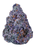 Purple and green cannabis bud with orange hairs.