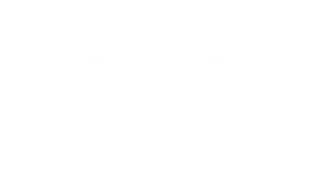 logo Vip Service