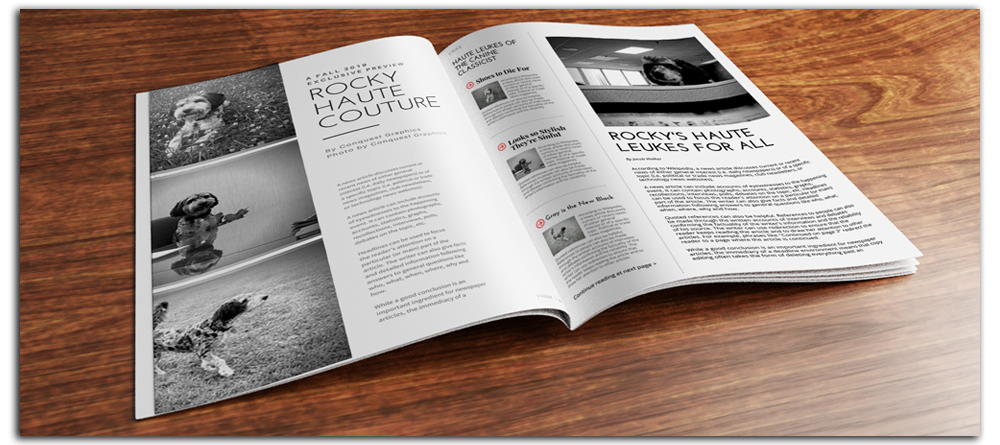 High-quality catalog printing services in Joshua, TX by Mousegraphics with vibrant, professional designs and customizable options.