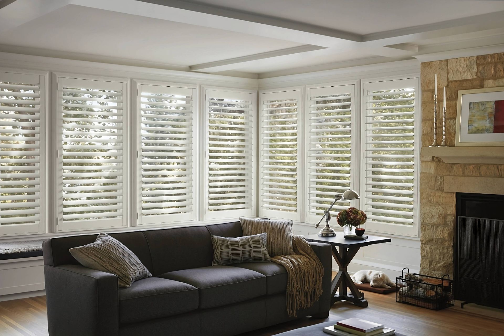 Hunter Douglas shutters on several windows in a residential living room with a dog