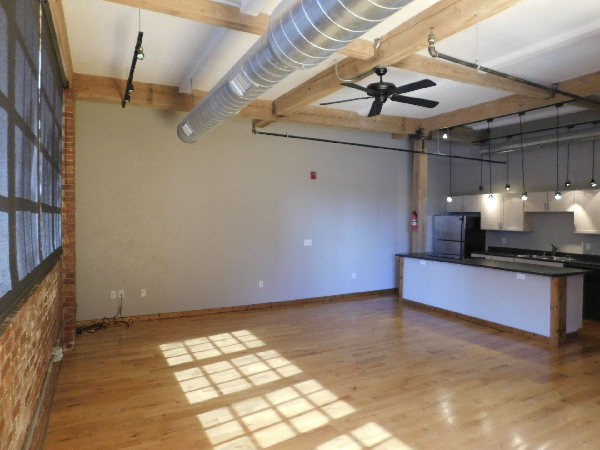 Kitchen and Living area | Springfield Lofts