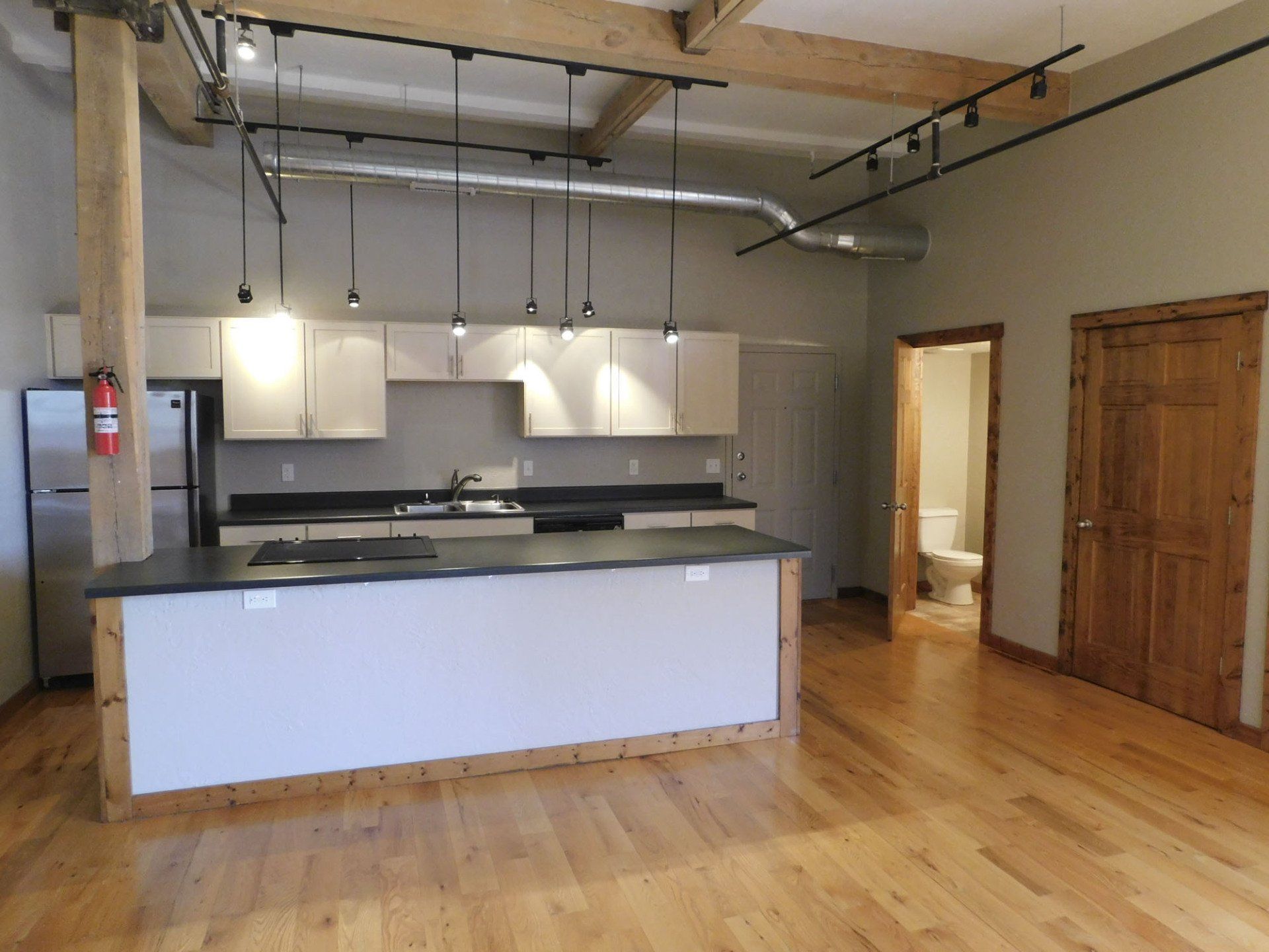 Kitchen and Living area | Springfield Lofts