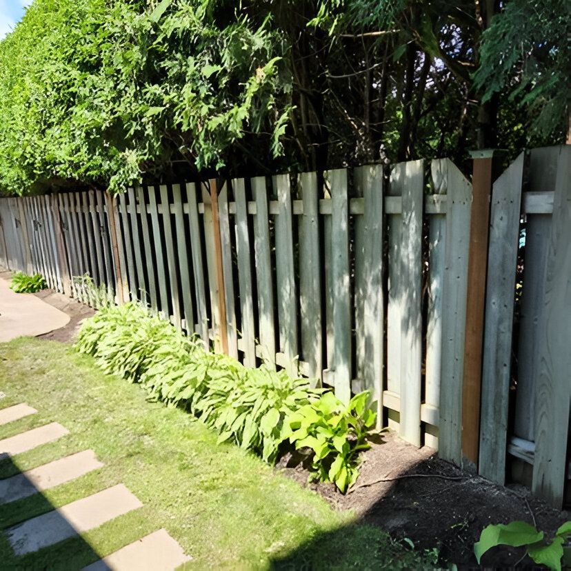 Dans une cour, une clôture en bois borde une rangée de plantes vertes feuillues. Des dalles carrées mènent à la scène.