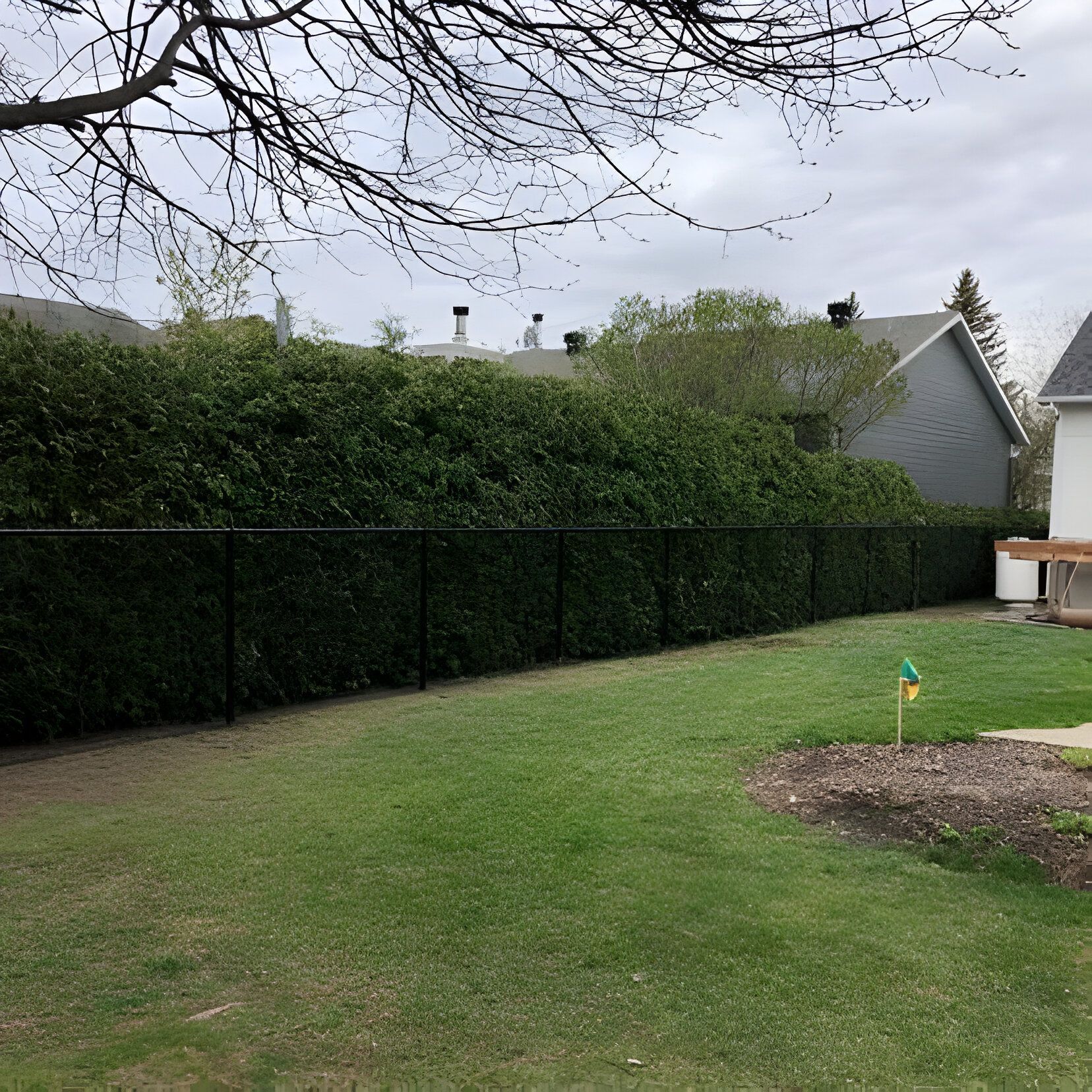 Une clôture noire sépare une pelouse verte de hautes haies vertes. Ciel nuageux au-dessus.