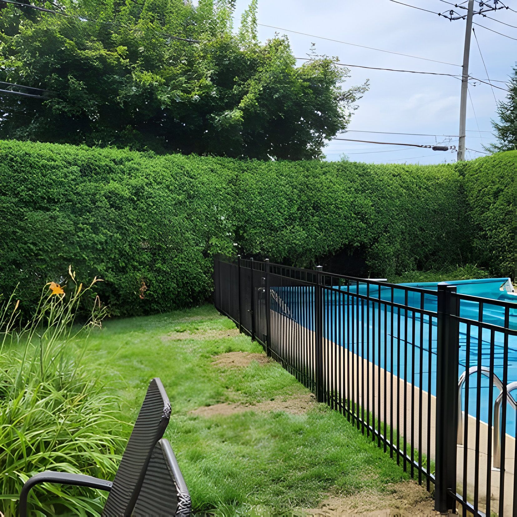 Une clôture noire entoure une piscine jouxtant une pelouse et une grande haie.