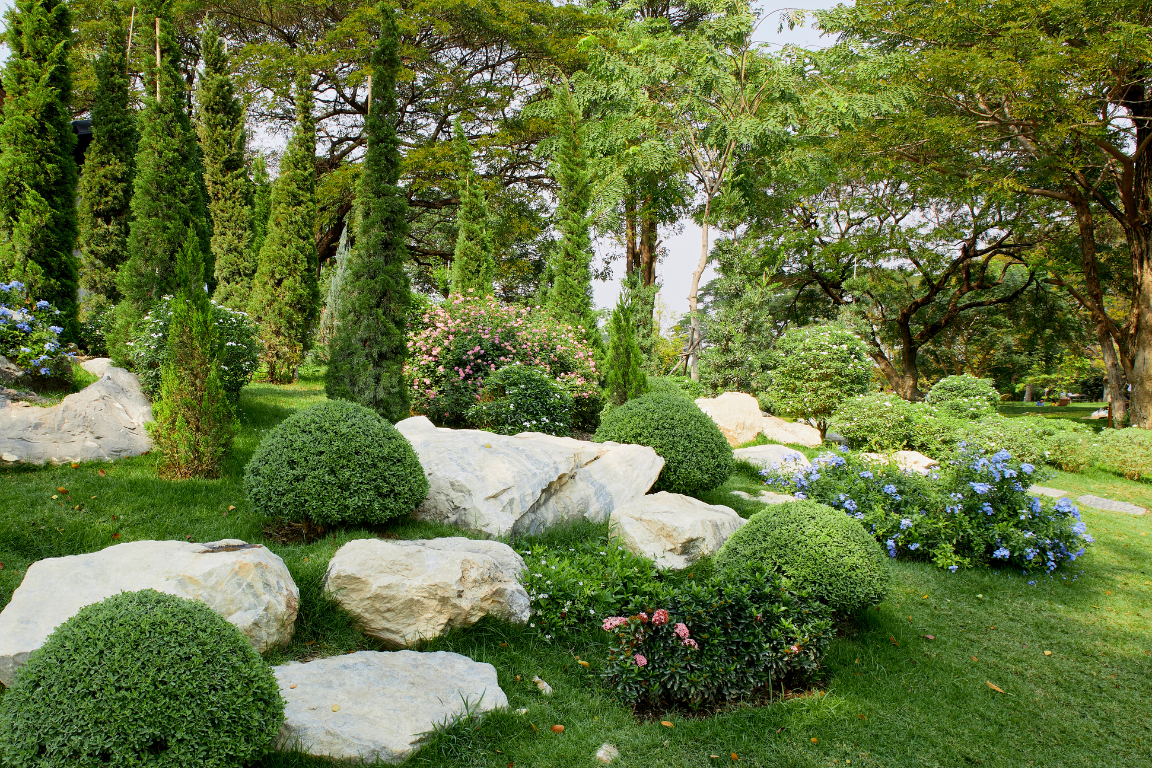 A garden filled with lots of plants and rocks.