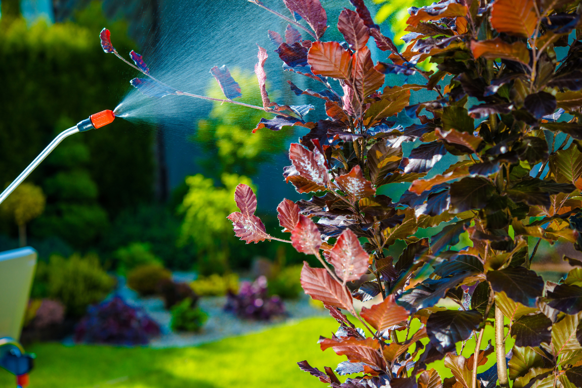 A person is spraying a tree with a sprayer in a garden.