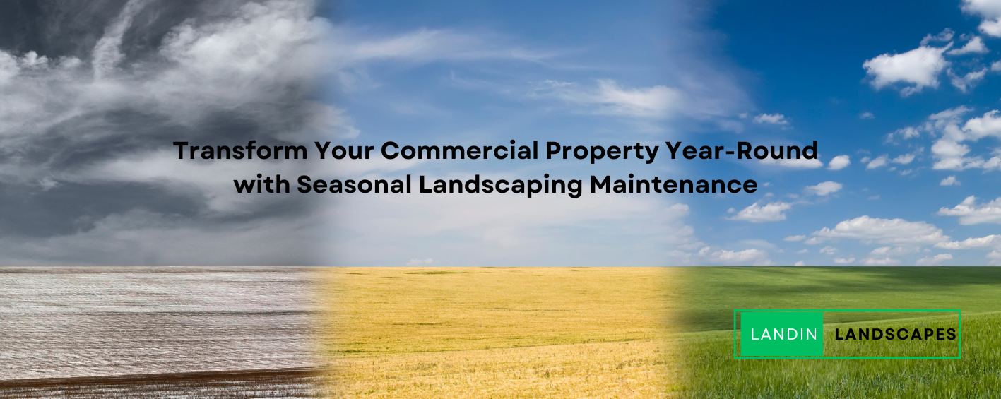 Transform Your Commercial Property Year-Round with Seasonal Landscaping Maintenance