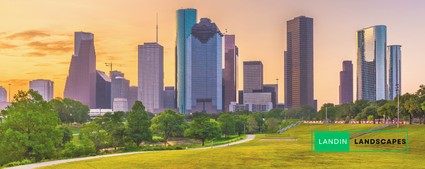 A city skyline with a park in the foreground and trees in the background.