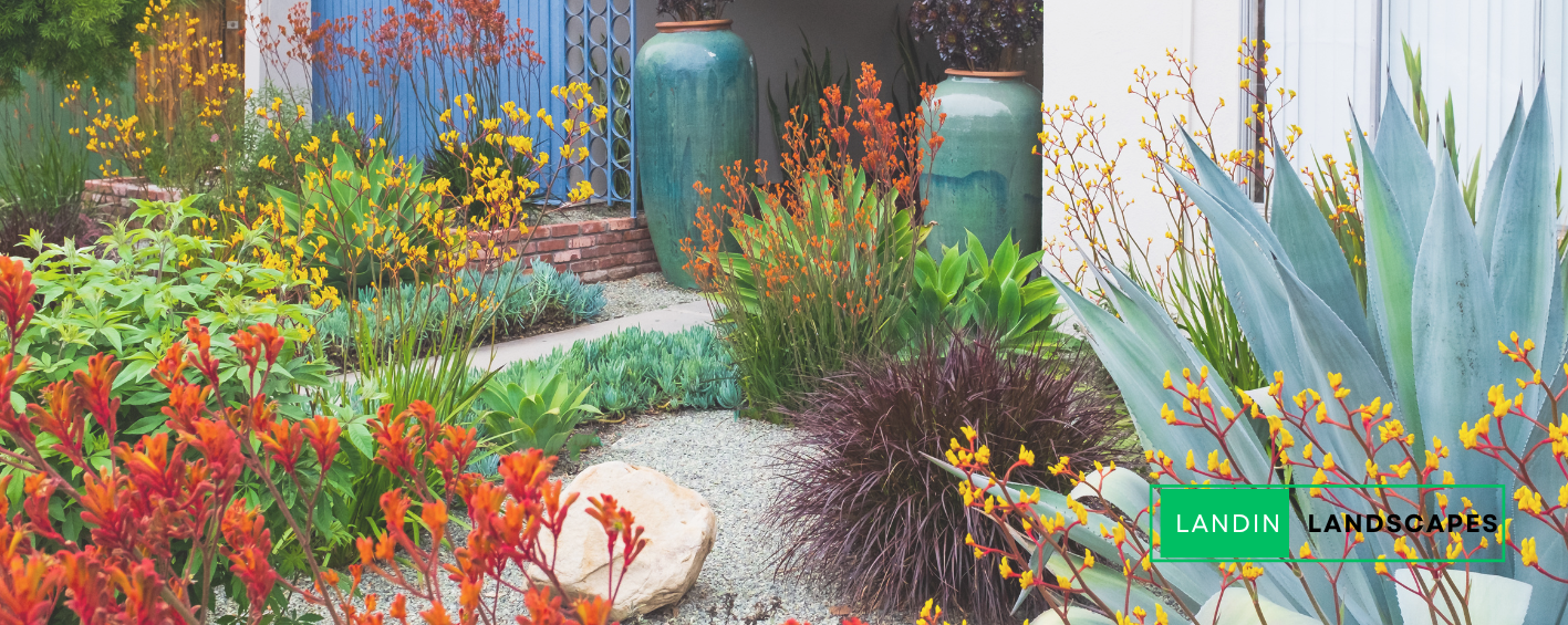 A garden with lots of flowers and plants in front of a house.