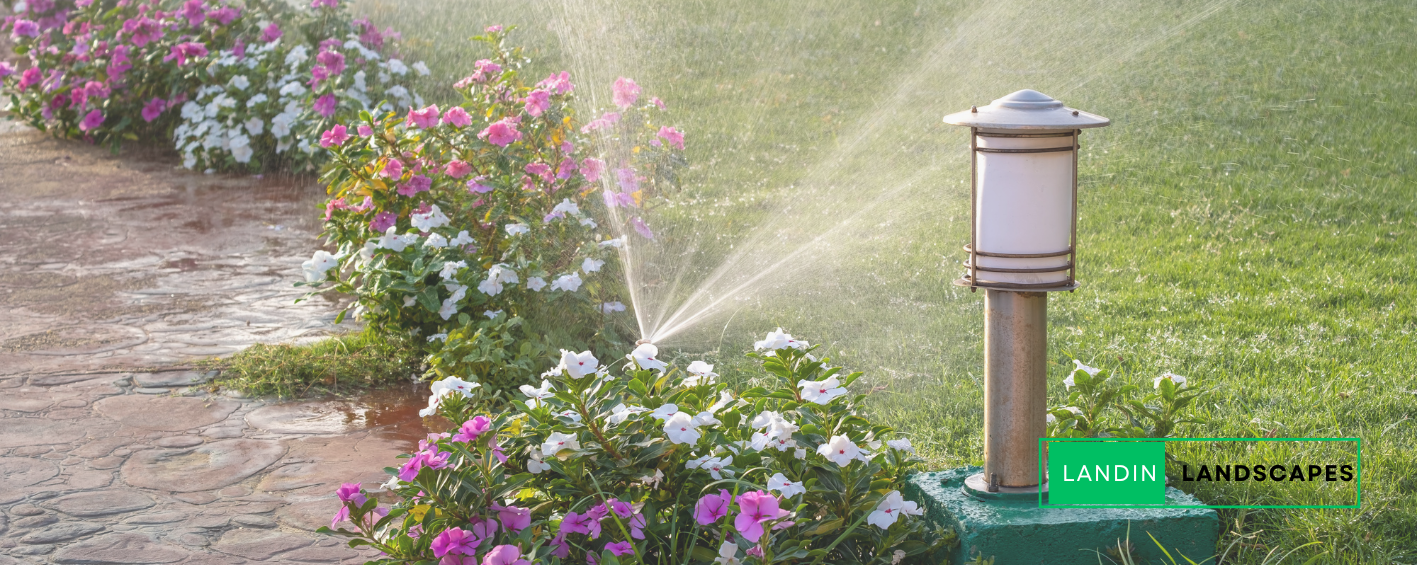 A sprinkler is spraying water on flowers in a garden.