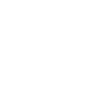 Search Engine Optimization (SEO)