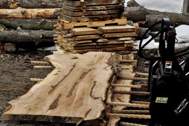 Sycamore | Live edge wood | Reclaimed wood slabs | Kiln dried wood for sale  | Trusted wood suppliers | Woodworking source