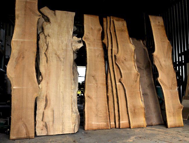 Live edge slabs for rustic furniture. 