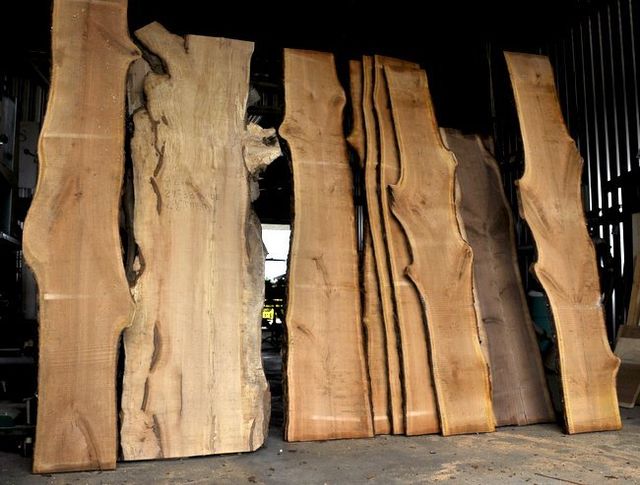 Black Oak | live edge wood | reclaimed wood slabs | kiln dried wood for  sale | trusted wood suppliers | woodworking source