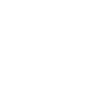 A white background with a few lines on it