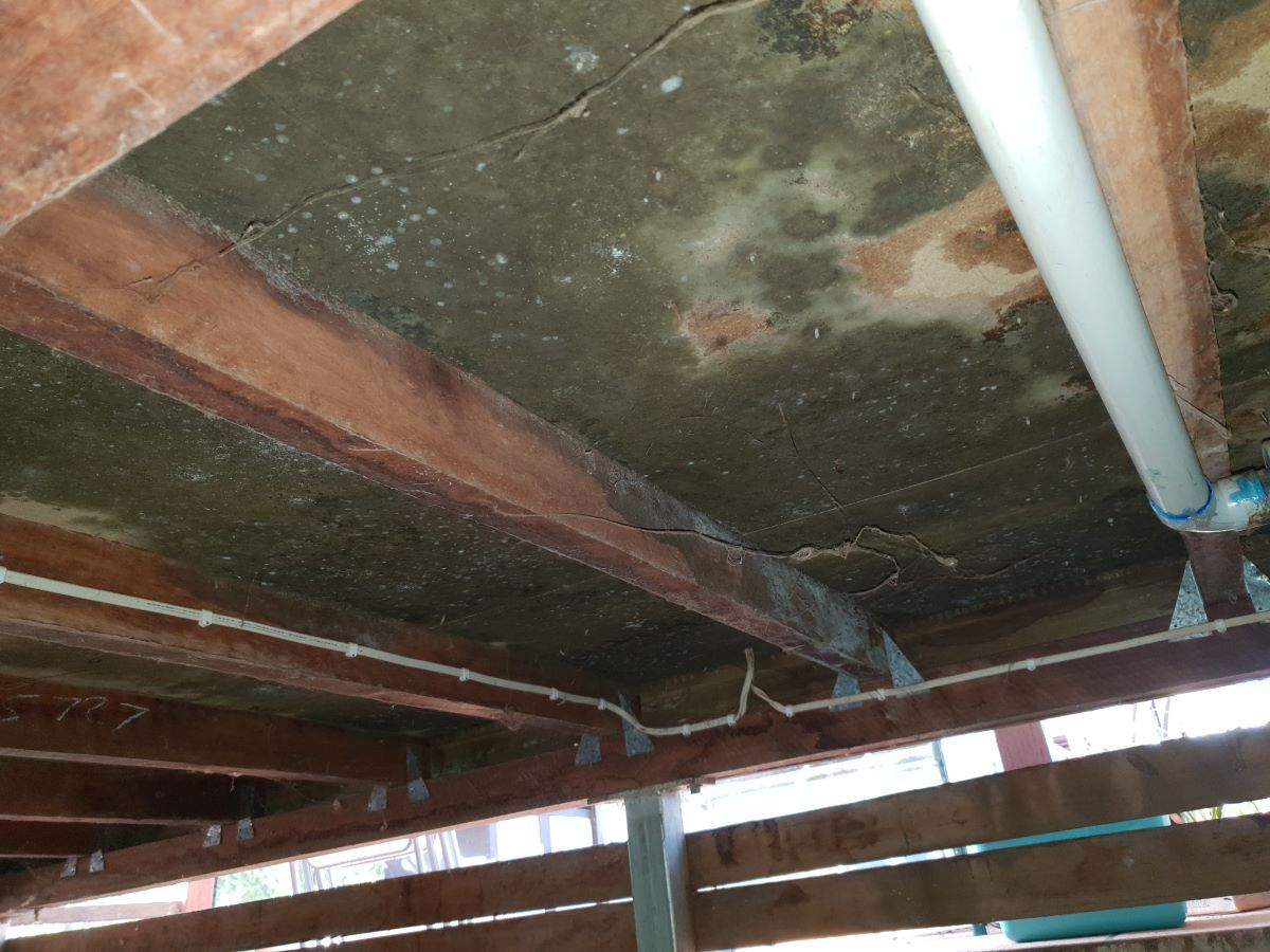 A Ceiling is Being Cleaned From the Mould — Restore All Qld in South Burnett, QLD