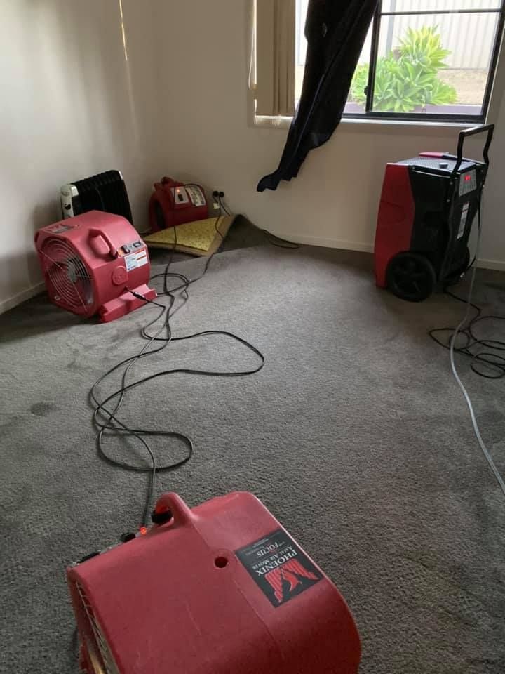 A Room is Being Cleaned Using Structural Dying Machine — Restore All Qld in Kingaroy, QLD