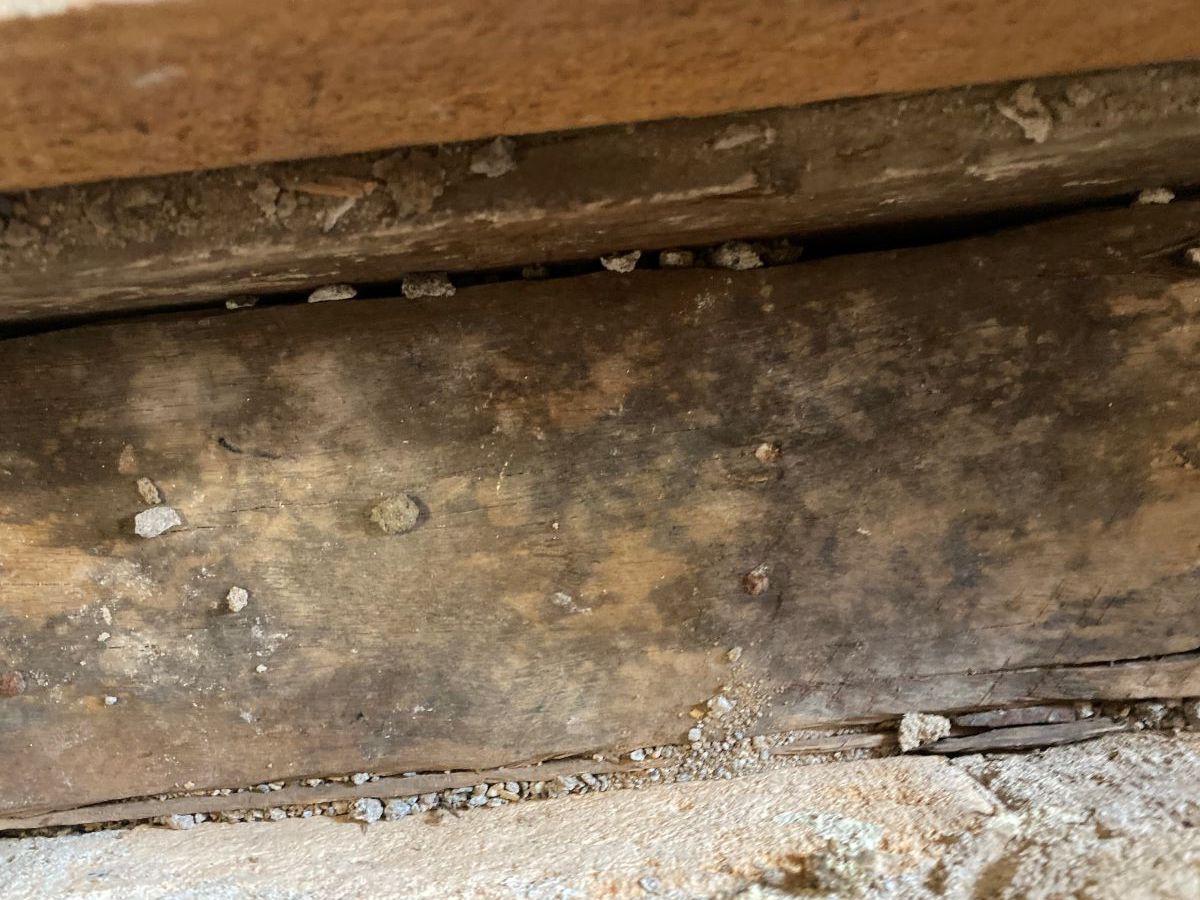 A Close Up of a Piece of Wood — Restore All Qld in Western Downs, QLD