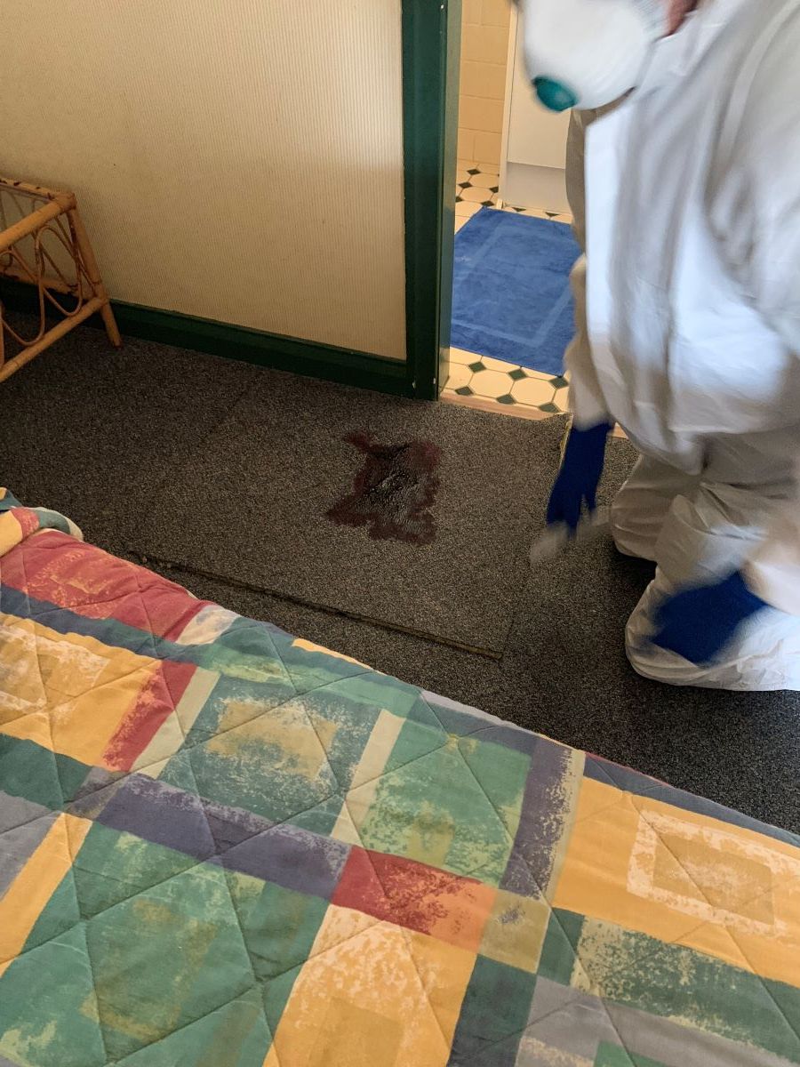 A Person is Spraying a Stain on the Floor — Restore All Qld in Kingaroy, QLD