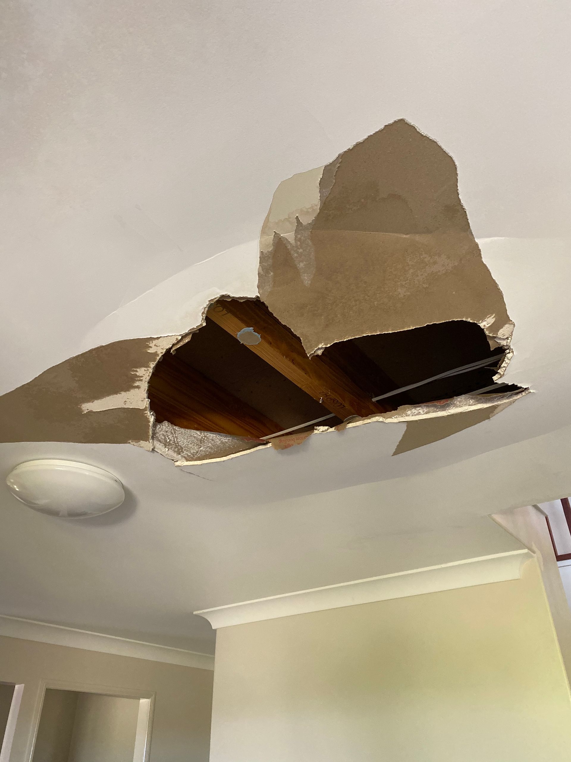 Person holding thermal camera in a casino. Camera shows purple and yellow heat signatures.