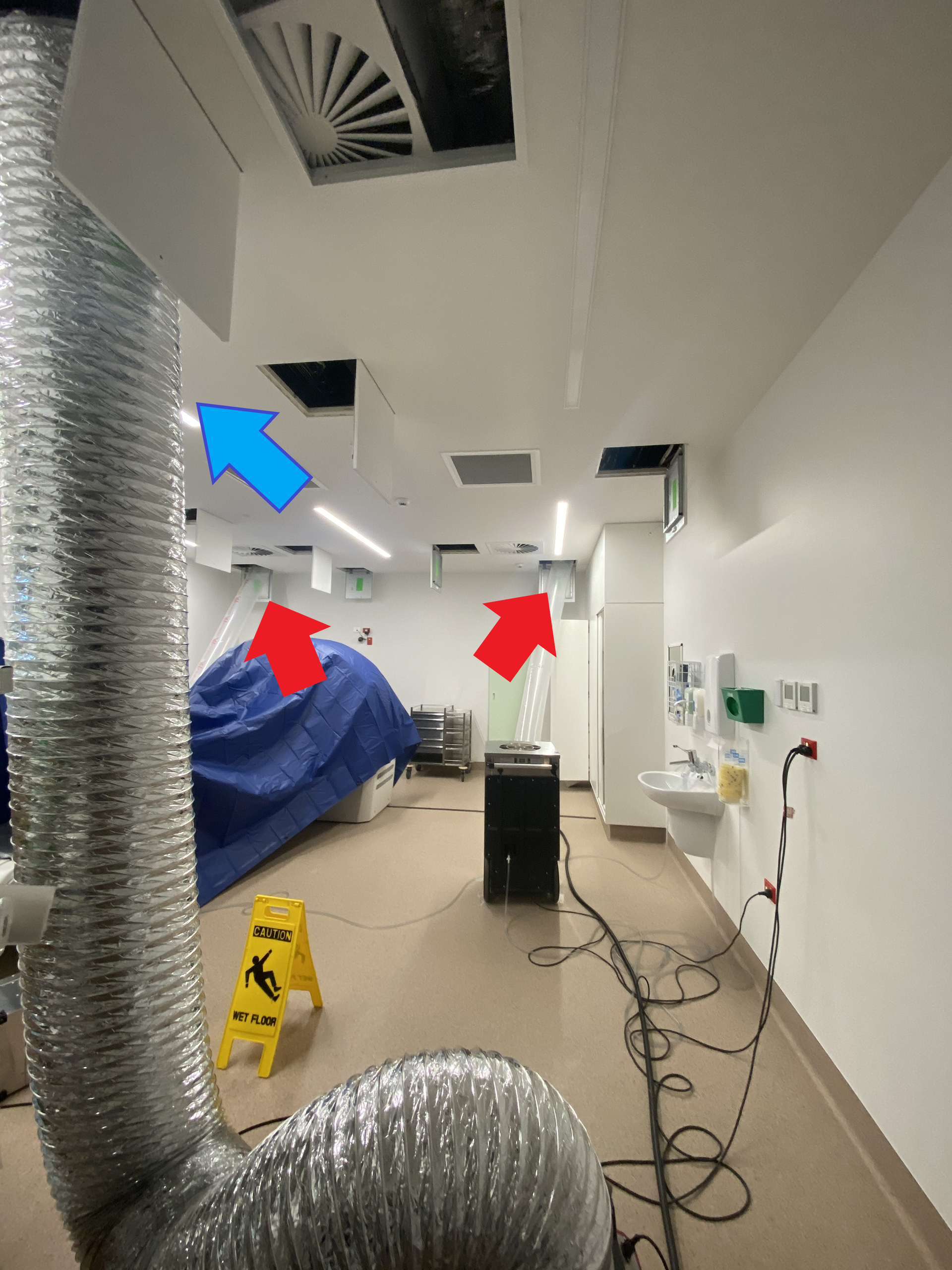 Hand holding a thermal imaging camera pointed at a purple carpet. The camera screen shows color gradients.