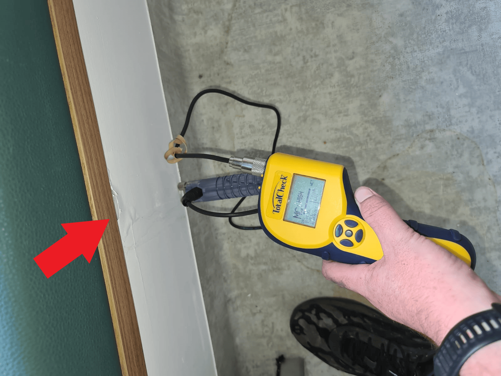 A Person is Holding a  Mould Testing — Restore All Qld in Kingaroy, QLD