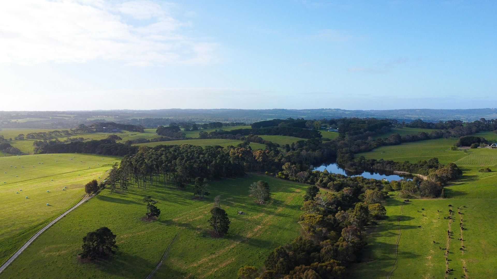 Green rolling hills with trees, a small lake, and a bright blue sky — Restore All Qld in Kingaroy, QLD