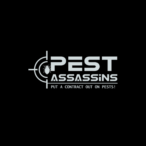 New Bedford MA Pest Control Local Pest Experts