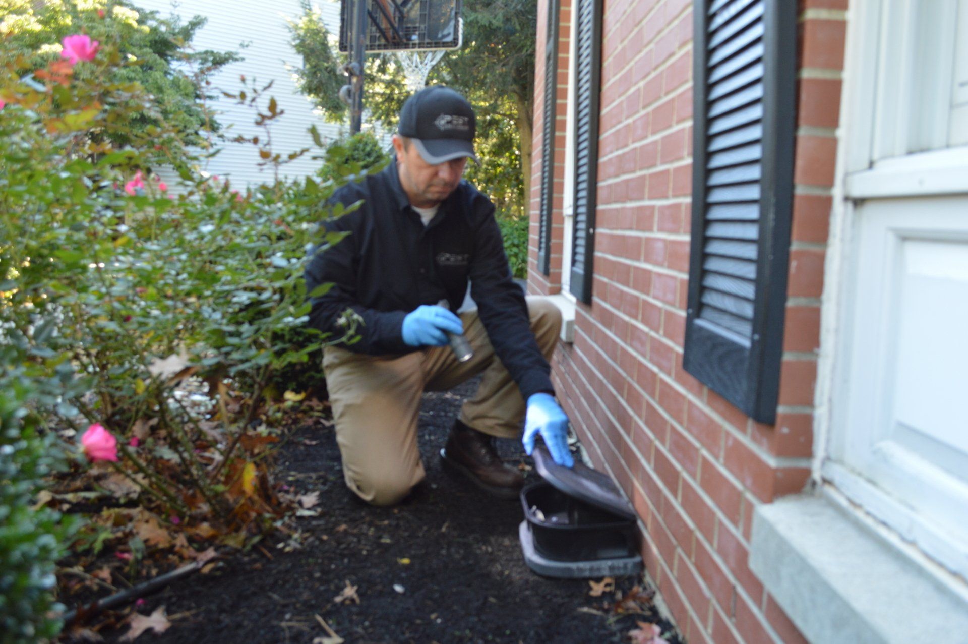 rodent exclusion service in Lincoln, Rhode Island