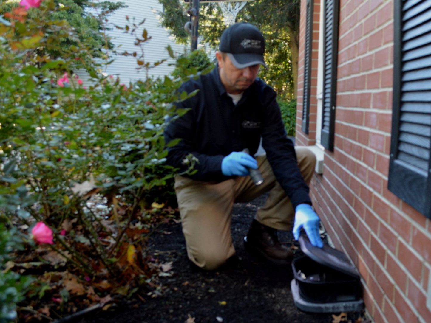 Pest Assassins technician inspecting a rodent bait station for evidence of mice or rats at a home in Needham, Massachusetts. 
