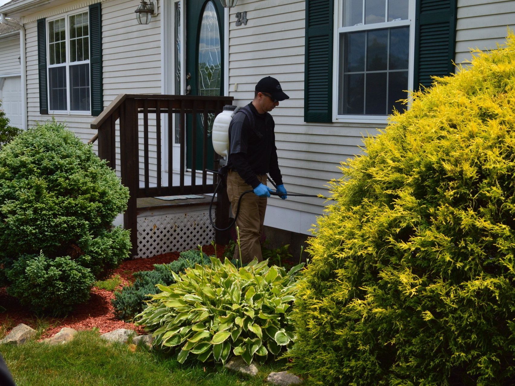 Pest Assassins technician treating a home for ants in Needham, Massachusetts. 