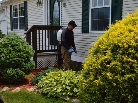 Pest Assassins technician treating a home for ants in New England