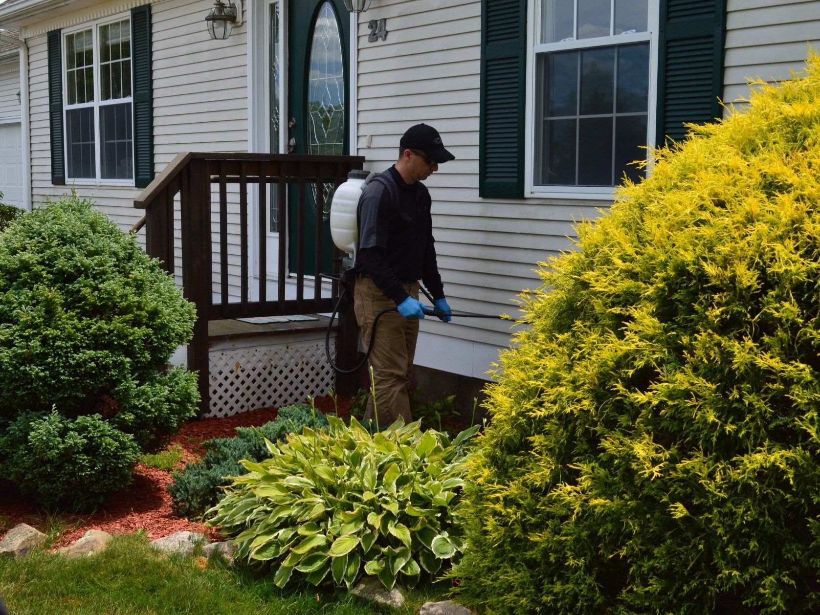 Home pest control service plan in Fall River, Massachusetts