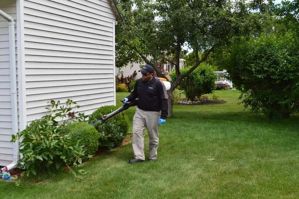 Pest Assassins service technician treating the exterior of a home for mosquito control. 