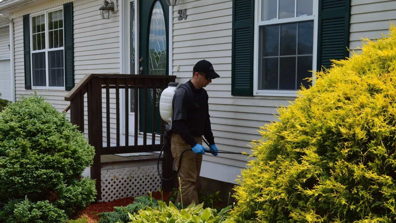 Pest Assassins technician servicing a home for ant control. 