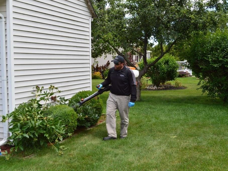 Pest Assassins In MA & RI Pest & Rodent Control Veteran Owned