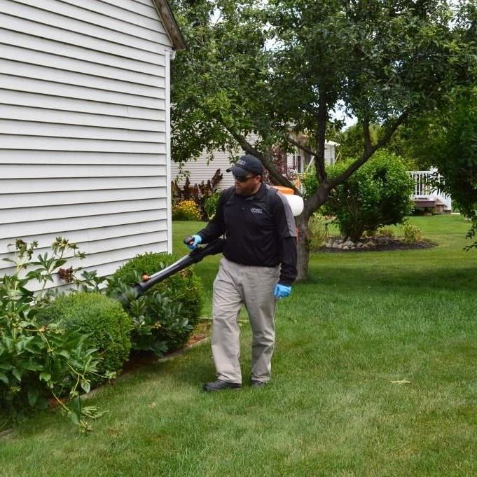 Pest Assassins technician treating a home for mosquito abatement in Newton, Massachusetts. 