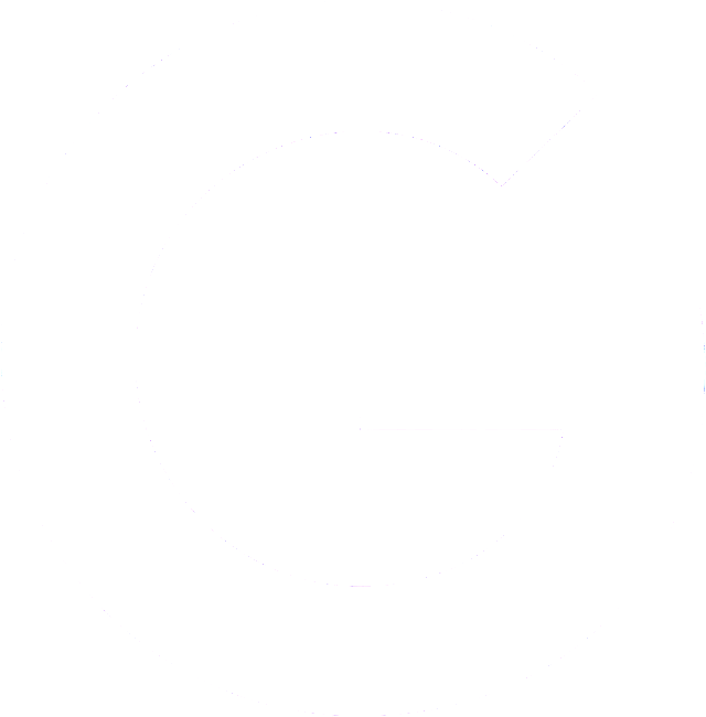 Google Icon