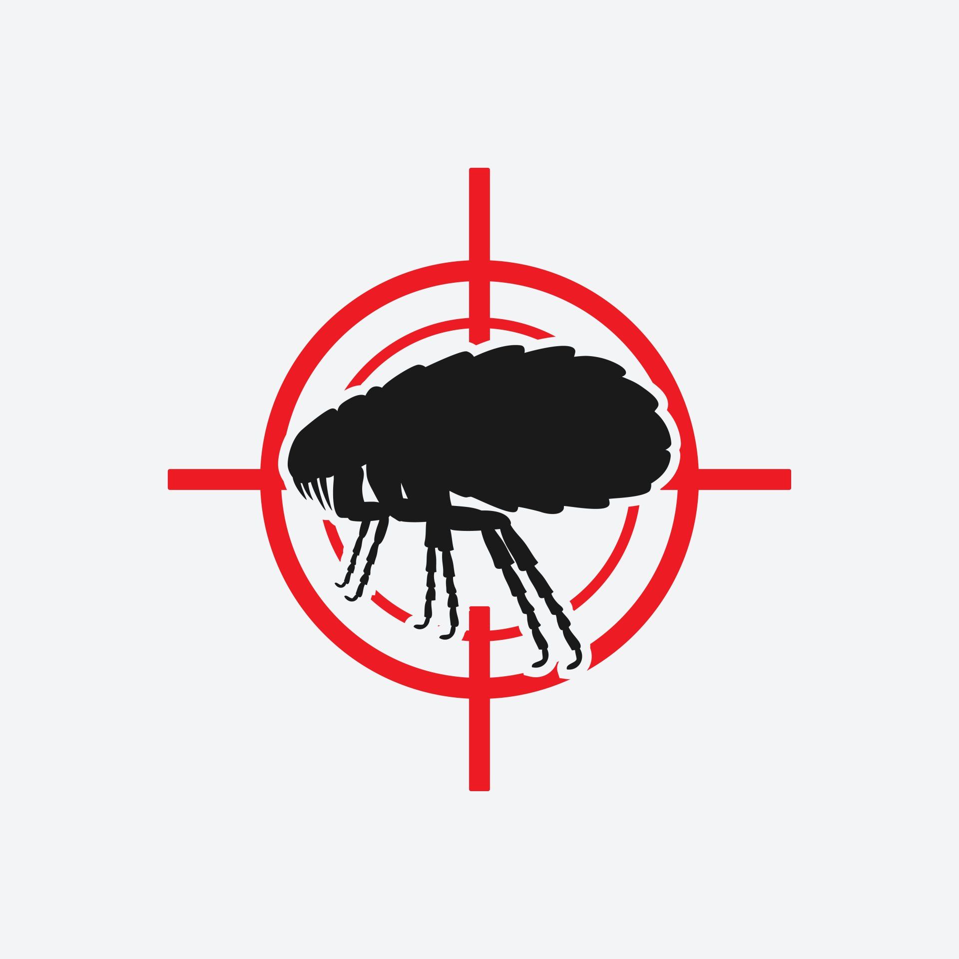 flea control in New England