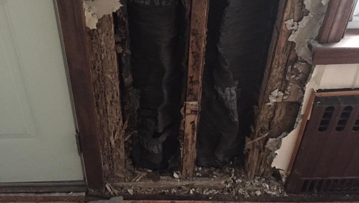 termite damage inside wall