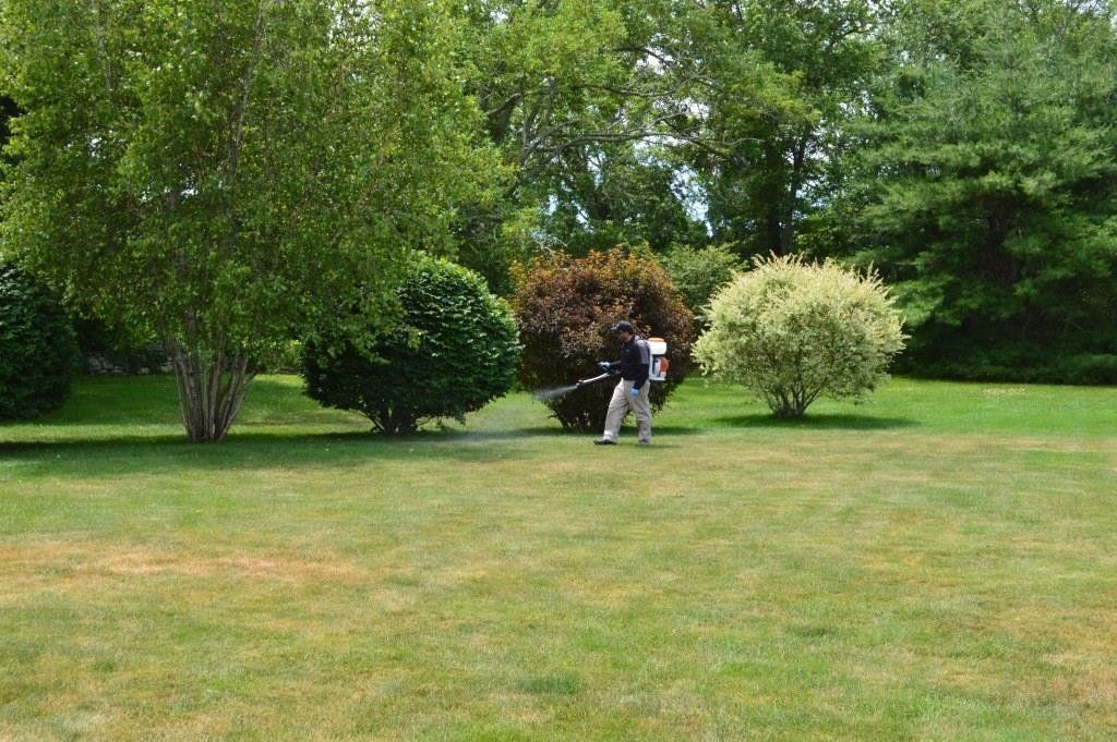 Mosquito Control Services In Massachusetts