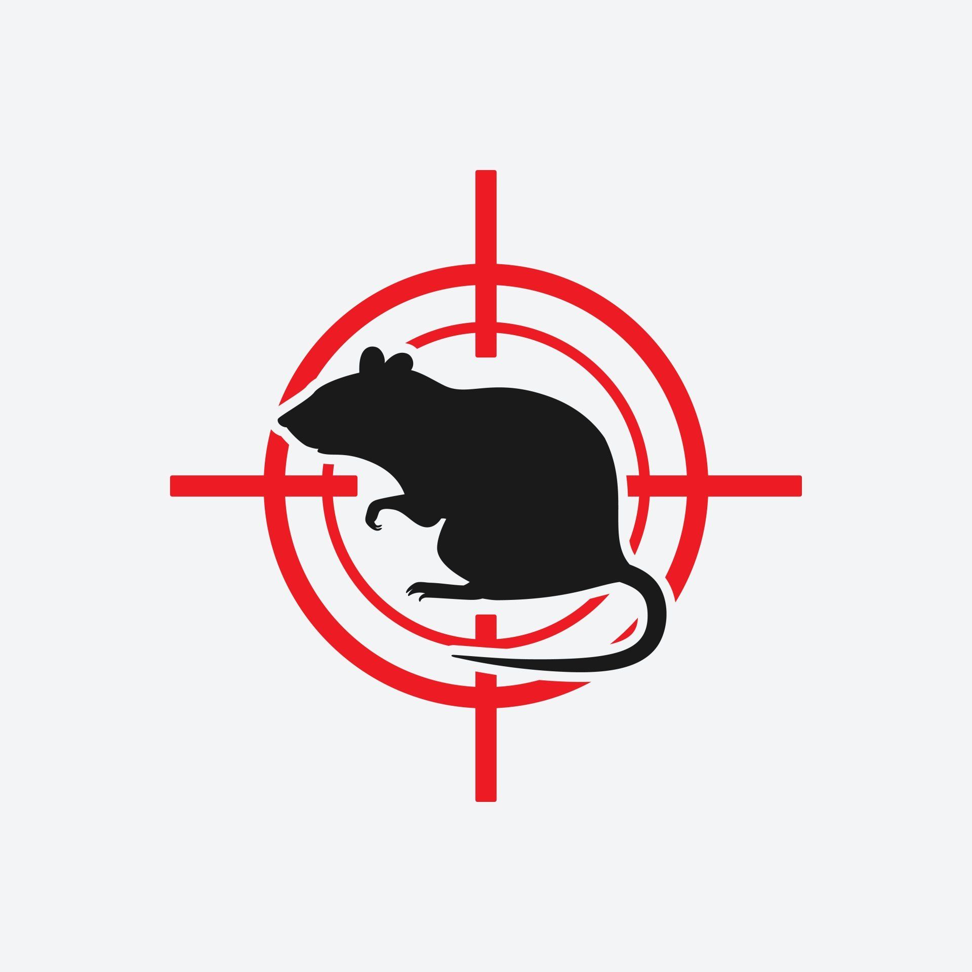 rodent control in New England