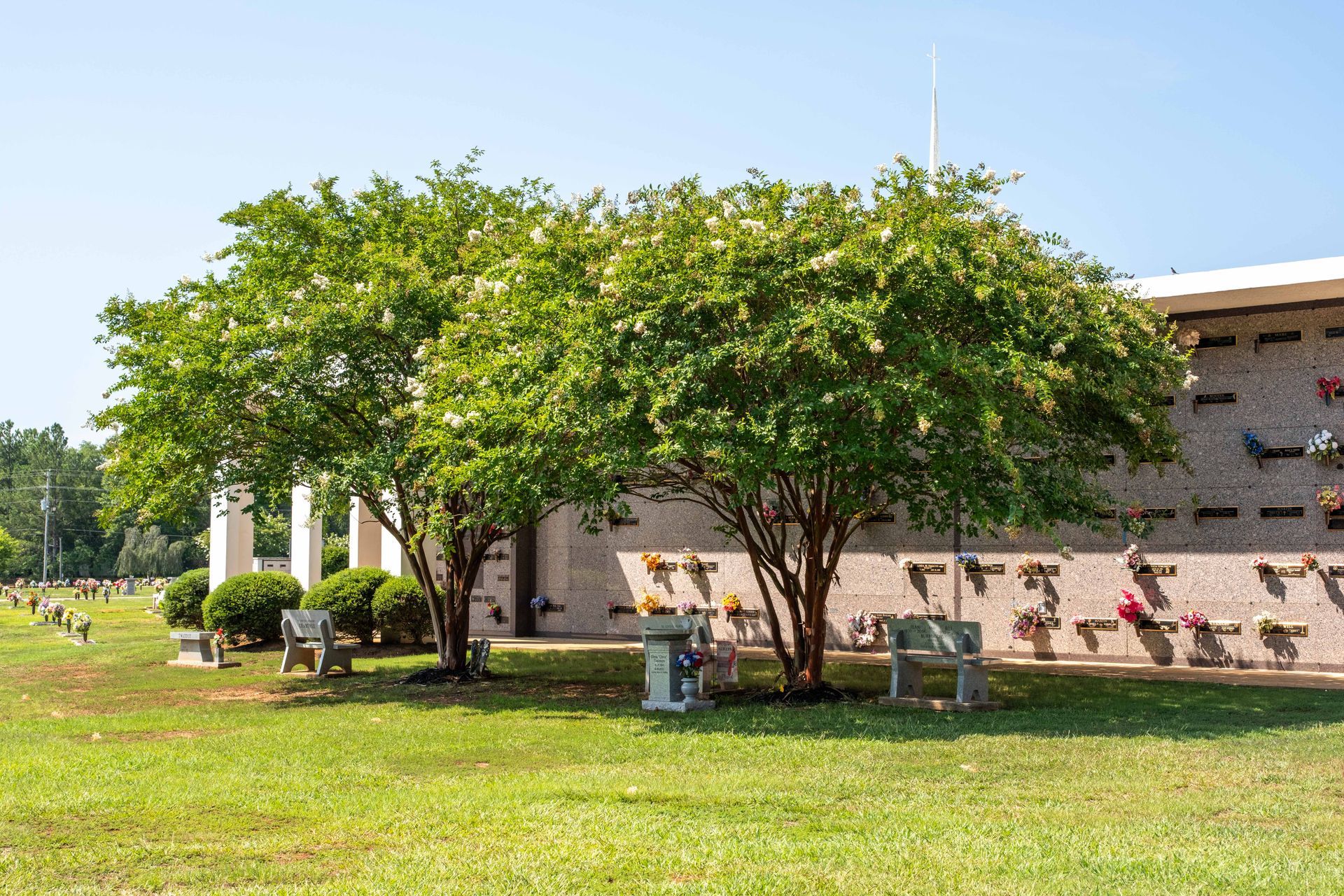 Trees in front of a columbarium with rows of niches. Green lawn and a sunny day.