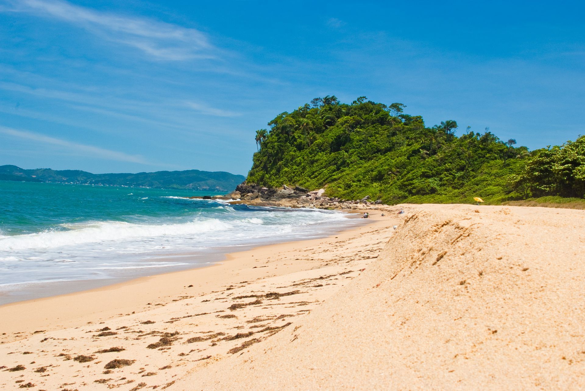 Uma praia arenosa com árvores ao fundo e um céu azul