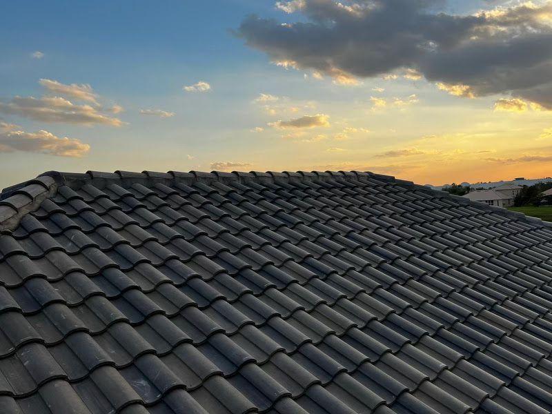 A close up of a tiled roof with a sunset in the background.