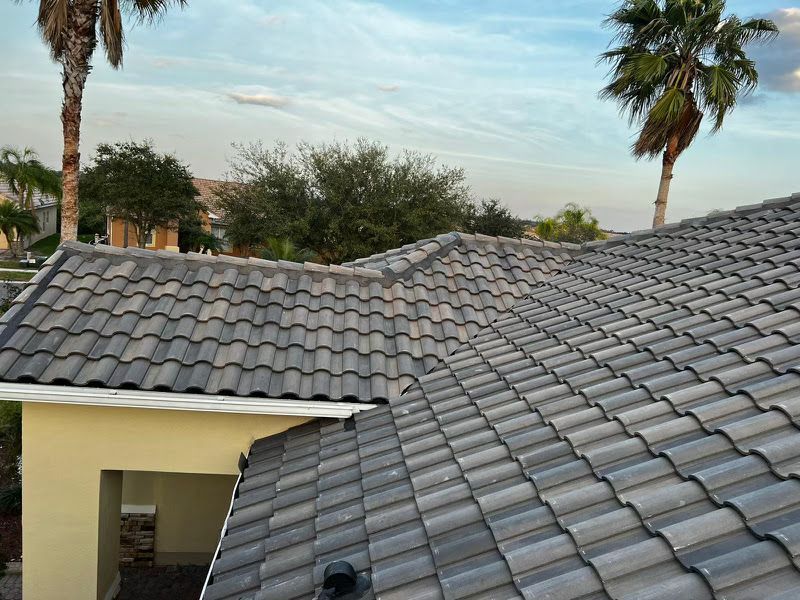 A tiled roof of a house with palm trees in the background.