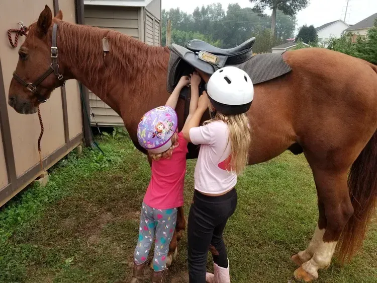 horseback-riding