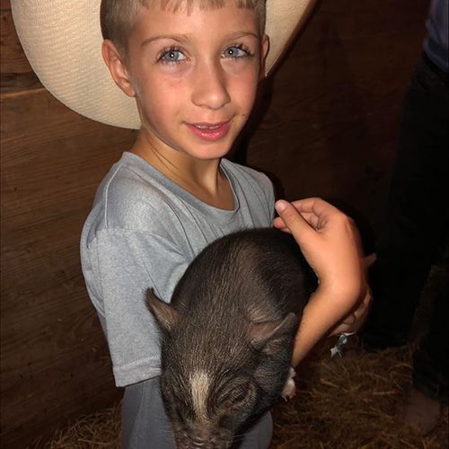 petting-farm-animals